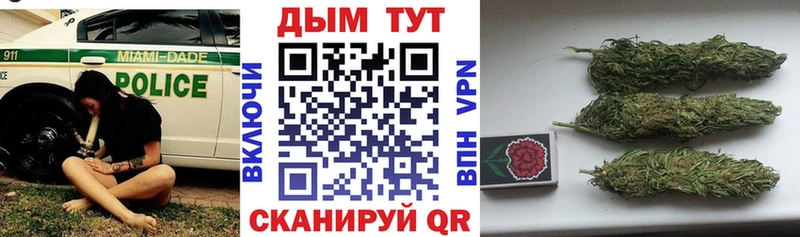 где купить Бакал Шишки марихуана White Widow